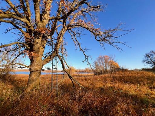 19854 Twin Lakes Road SW, Brandon, MN 56315