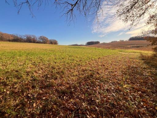 19854 Twin Lakes Road SW, Brandon, MN 56315