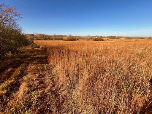 19854 Twin Lakes Road SW, Brandon, MN 56315
