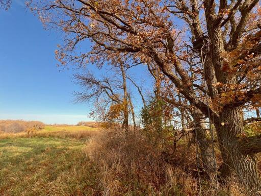 19854 Twin Lakes Road SW, Brandon, MN 56315