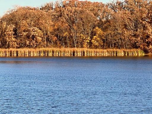 19854 Twin Lakes Road SW, Brandon, MN 56315