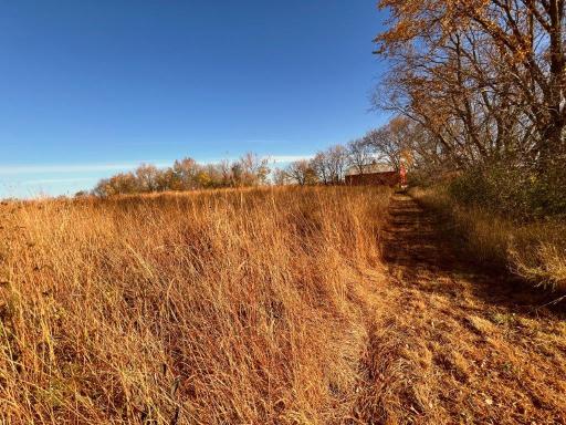 19854 Twin Lakes Road SW, Brandon, MN 56315