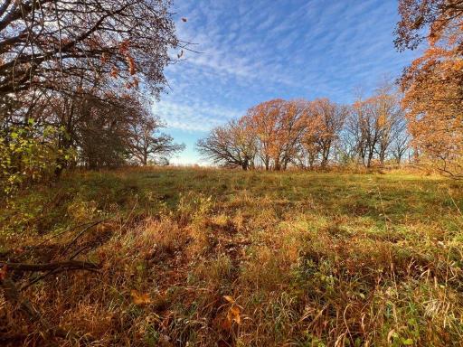 19854 Twin Lakes Road SW, Brandon, MN 56315