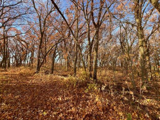19854 Twin Lakes Road SW, Brandon, MN 56315