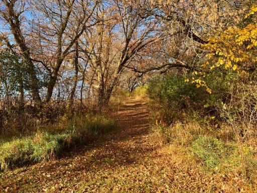 19854 Twin Lakes Road SW, Brandon, MN 56315