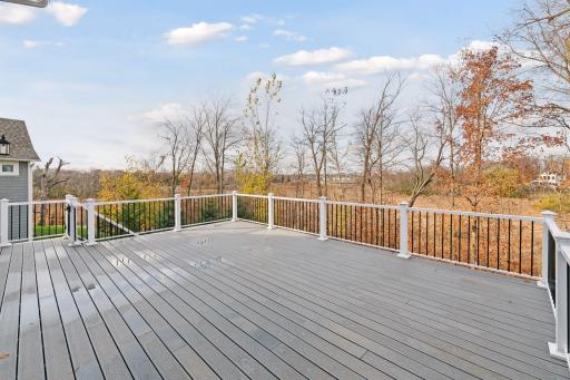 746 Woodland Hill Court, Hamel, MN 55340