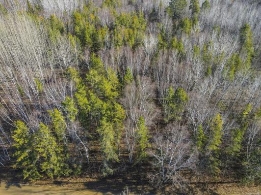 Possible front entry to lot from Musky Dr_.jpeg