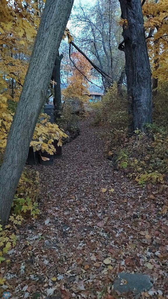 Walking Trail