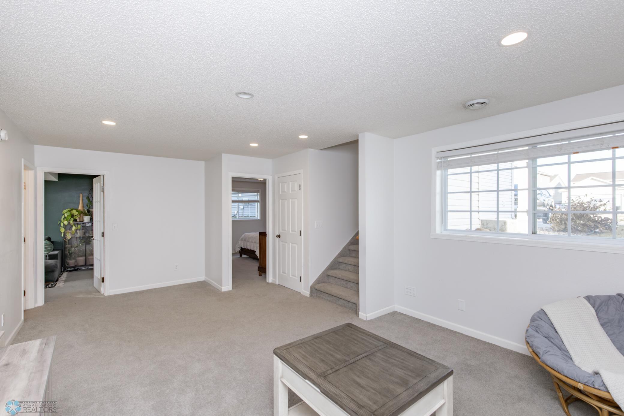 Basement Family Room
