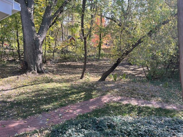 Area behind 2nd garage. (Lot 2)