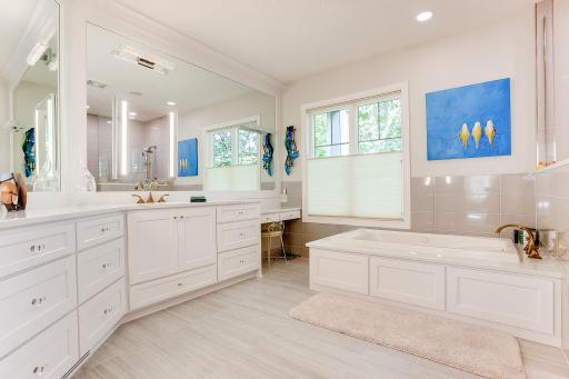 Completely renovated Owner's spa like bath with jacuzzi tub, double vanity, under cabinet lights, make up vanity. Separate water closet and large tiled walk in shower.