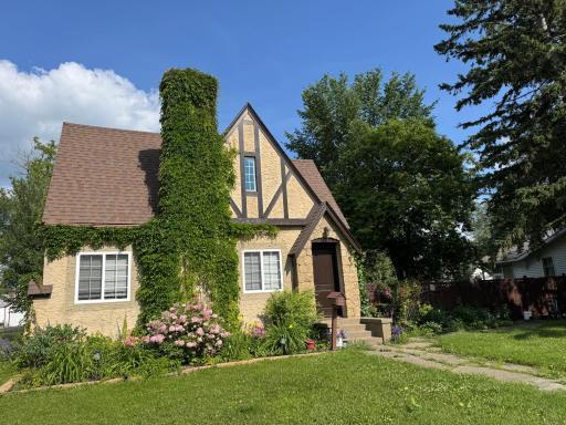 820 Labree Avenue N, Thief River Falls, MN 56701