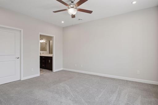 Primary suite on the main level with walk-in closet and private bathroom.