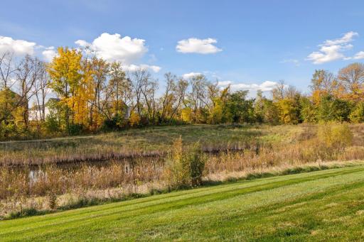And this is your Fall view from that patio. So lovely and calming - what a great place for coffee or maybe a glass of wine.