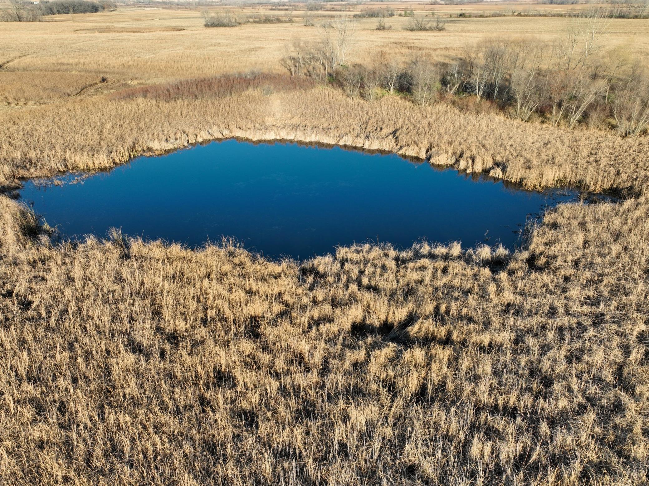 Picture2.jpg