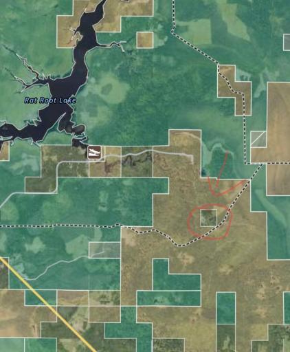 Screenshot_20241115_133039_onX Hunt.jpg