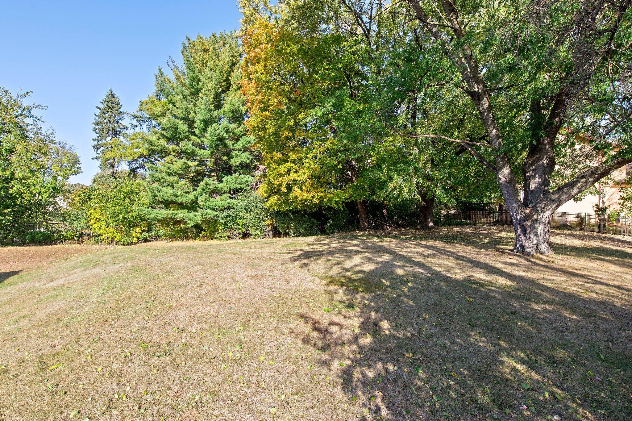 View from lot toward neighboring fence to the east