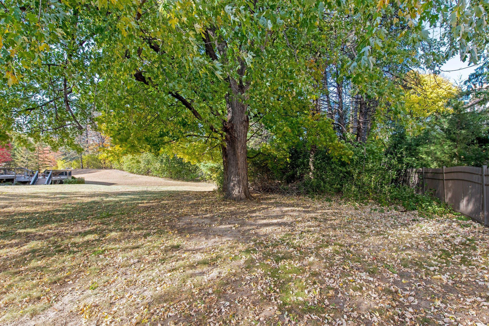Trees surround this and the neighboring properties