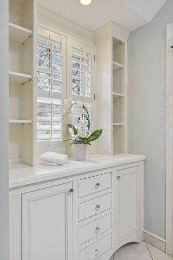 Additional storage in second floor hall bath