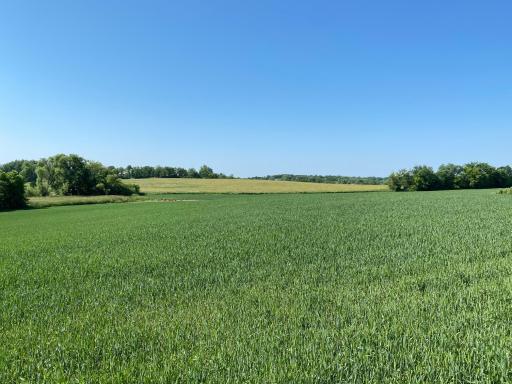 2505 Pioneer Trail, Medina, MN 55340