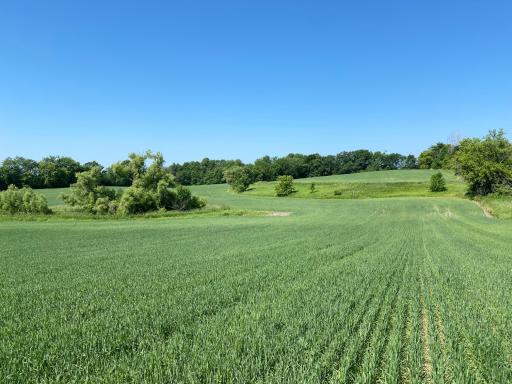 2505 Pioneer Trail, Medina, MN 55340
