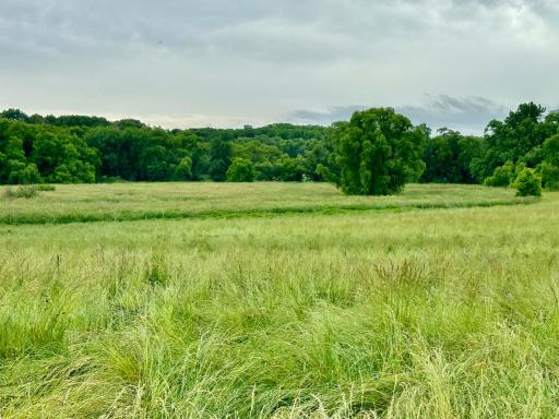 2505 Pioneer Trail, Medina, MN 55340