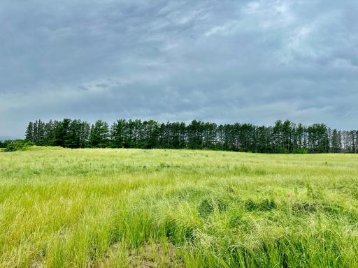 2505 Pioneer Trail, Medina, MN 55340