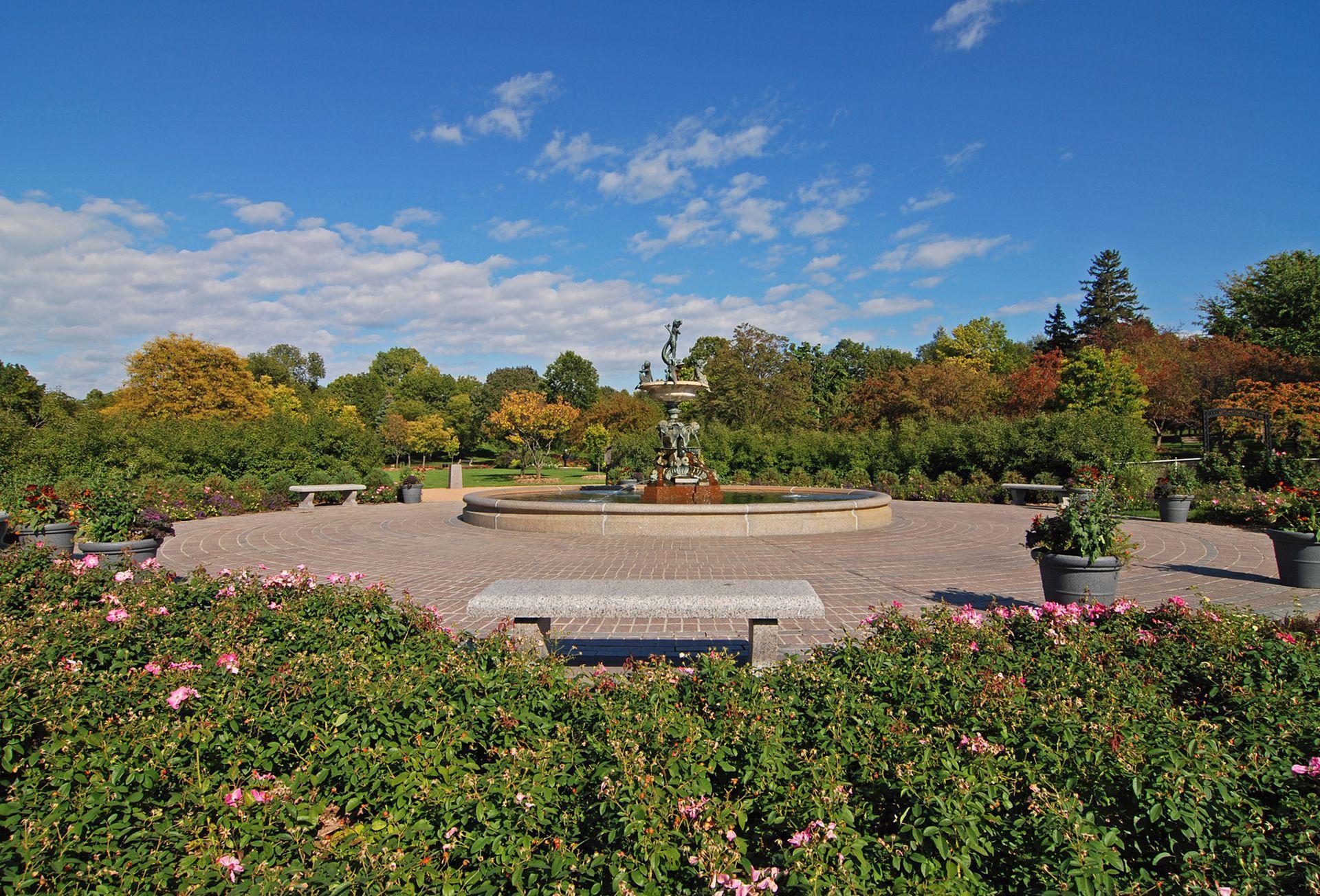 Rose Gardens