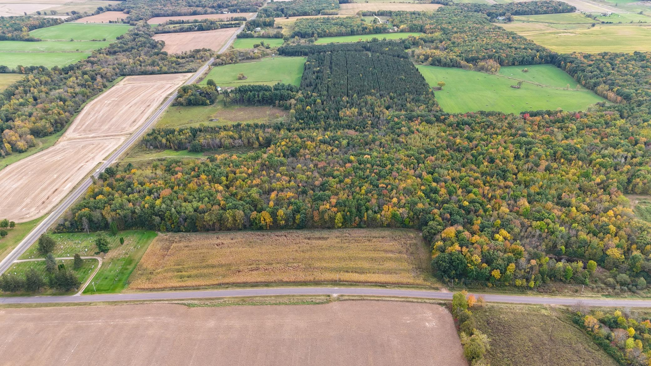 Rows of mature pine with beautiful softwoods like Birch, Elm and a few Oak Trees. In the northern mixed section, large ancient White Pines!