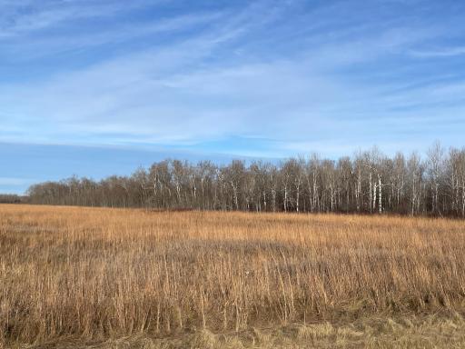 TBD HWY 10, Thief River Falls, MN 56701