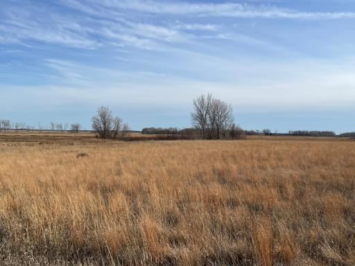TBD HWY 10, Thief River Falls, MN 56701