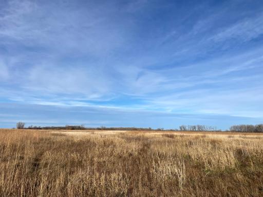 TBD HWY 10, Thief River Falls, MN 56701