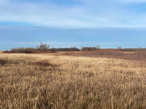 TBD HWY 10, Thief River Falls, MN 56701