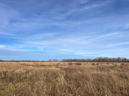 TBD HWY 10, Thief River Falls, MN 56701