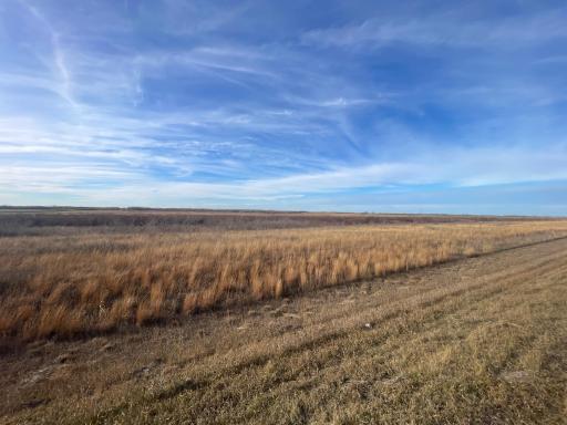 TBD HWY 10, Thief River Falls, MN 56701