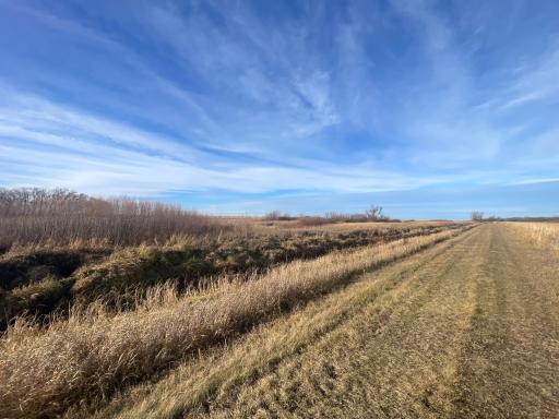 TBD HWY 10, Thief River Falls, MN 56701