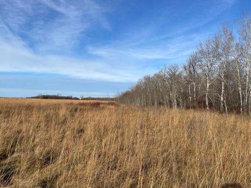 TBD HWY 10, Thief River Falls, MN 56701