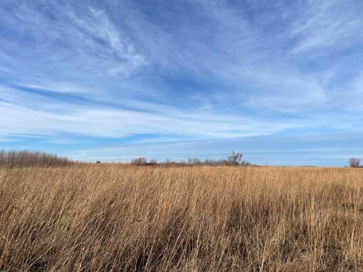 TBD HWY 10, Thief River Falls, MN 56701