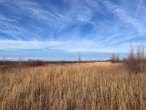 TBD HWY 10, Thief River Falls, MN 56701