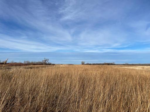 TBD HWY 10, Thief River Falls, MN 56701