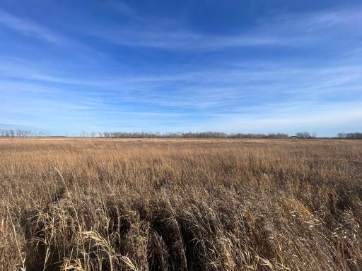 TBD HWY 10, Thief River Falls, MN 56701