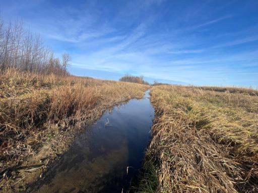 TBD HWY 10, Thief River Falls, MN 56701