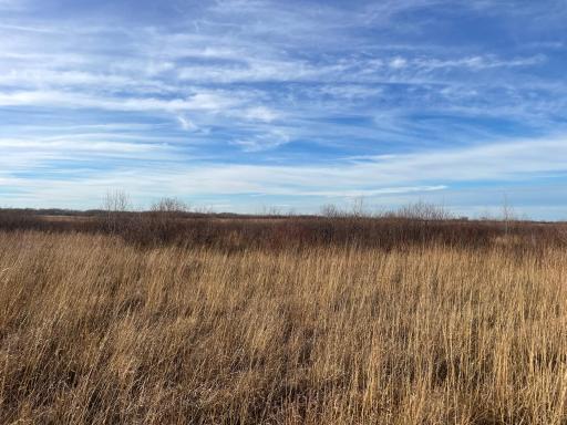 TBD HWY 10, Thief River Falls, MN 56701