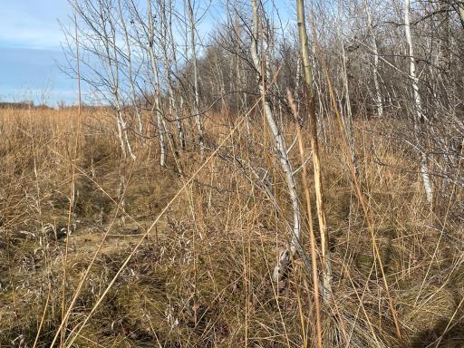 TBD HWY 10, Thief River Falls, MN 56701