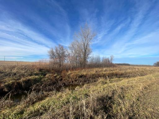 TBD HWY 10, Thief River Falls, MN 56701