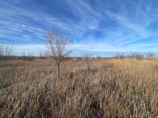 TBD HWY 10, Thief River Falls, MN 56701