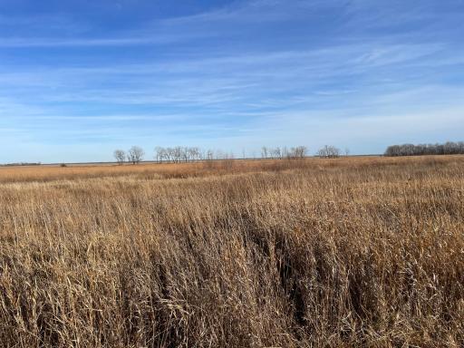 TBD HWY 10, Thief River Falls, MN 56701