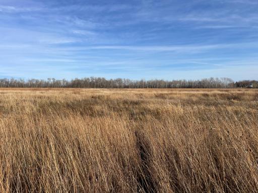 TBD HWY 10, Thief River Falls, MN 56701