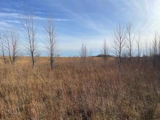 TBD HWY 10, Thief River Falls, MN 56701