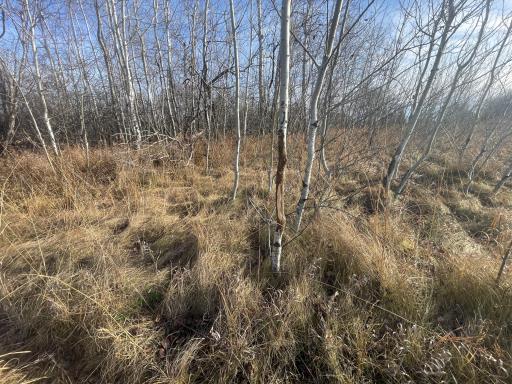 TBD HWY 10, Thief River Falls, MN 56701